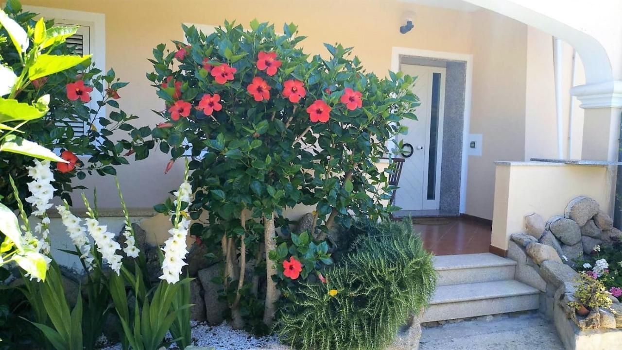 Casa Dolce Hibiscus Appartement Olbia Buitenkant foto