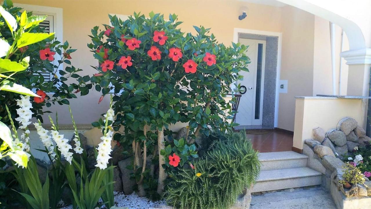 Dolce Hibiscus Appartement Olbia Buitenkant foto