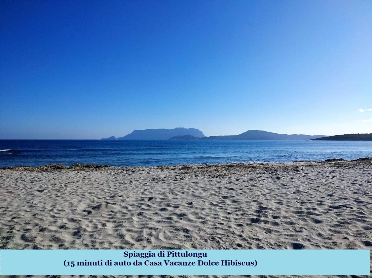 Casa Dolce Hibiscus Appartement Olbia Buitenkant foto
