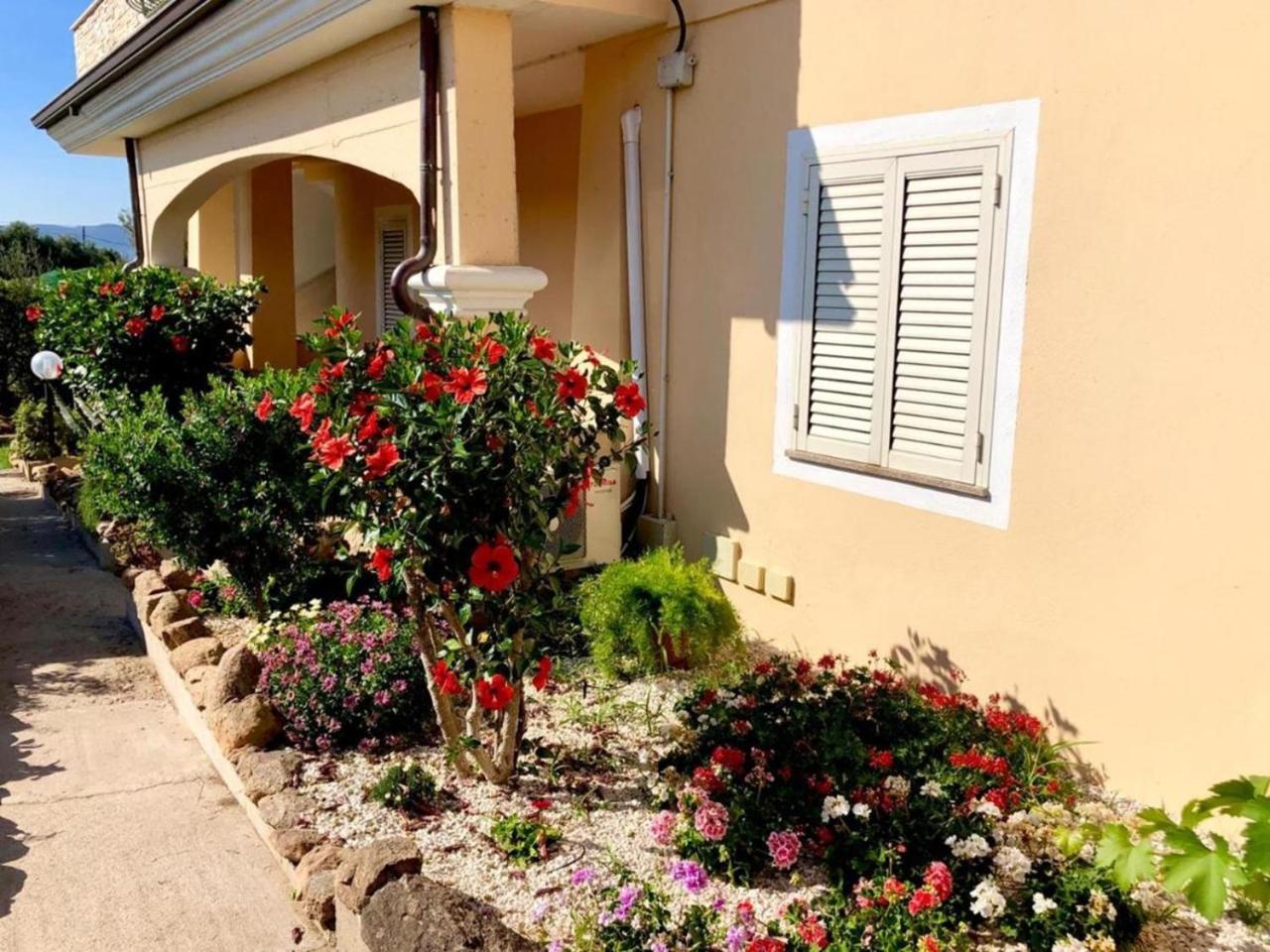 Casa Dolce Hibiscus Appartement Olbia Buitenkant foto