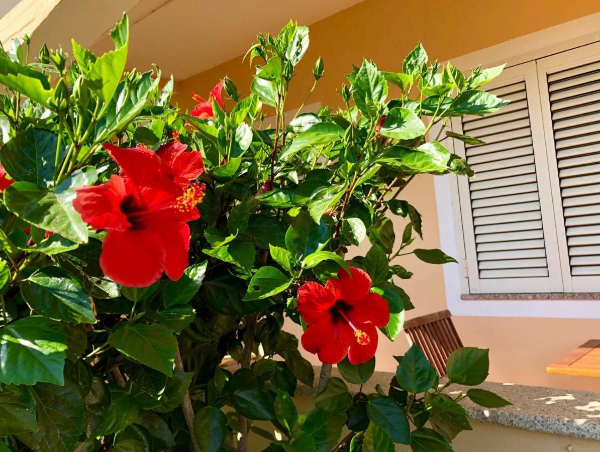 Dolce Hibiscus Appartement Olbia Buitenkant foto